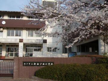 松戸市立新松戸西小学校／徒歩6分・約430m