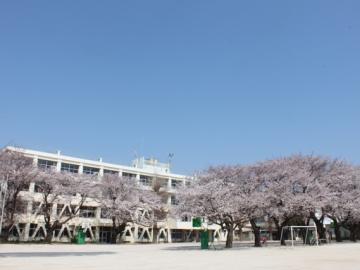 松戸市立高木第二小学校／徒歩12分・約927m(2024年11月)