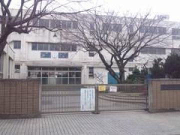 松戸市立南部小学校／徒歩10分・約800m(2025年5月)