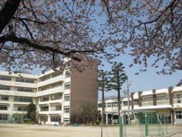 松戸市立小金小学校／徒歩11分・約850m(2025年6月)