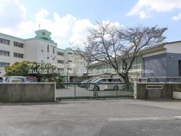 流山市立長崎小学校／徒歩7分・約560m(2025年8月)