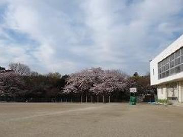 流山市立東小学校／徒歩7分・約500m(2025年9月)