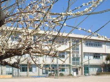 松戸市立馬橋小学校／徒歩4分・約320m(2025年9月)