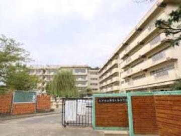 松戸市立和名ケ谷小学校／徒歩12分・約950m(2026年3月)