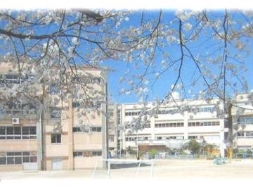 松戸市立柿ノ木台小学校／徒歩15分・約1,200m(2026年4月)