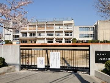 松戸市立北部小学校／徒歩10分・約800m(2026年4月)