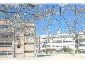 松戸市立柿ノ木台小学校／徒歩7分・約550m(2026年4月)