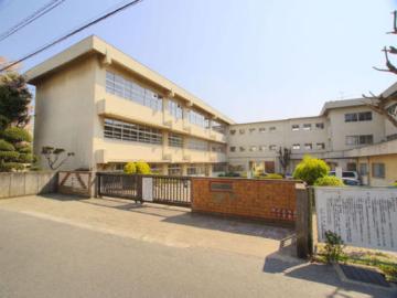 松戸市立上本郷小学校／徒歩8分・約600m(2025年12月)