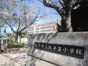 松戸市立殿平賀小学校／徒歩4分・約259m(2026年4月)