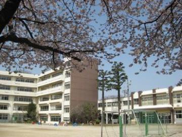 松戸市立小金小学校／徒歩9分・約699m(2026年9月)