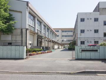 松戸市立新松戸南中学校／徒歩14分・約1,100m(2024年12月)