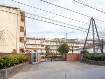 松戸市立第六中学校/徒歩9分・約600m 松戸市立第六中学校/徒歩9分・約600m